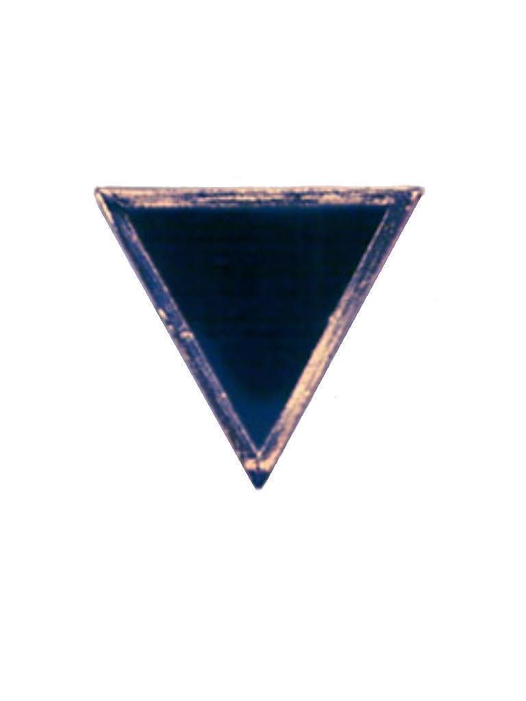 Pin Black Triangle Large