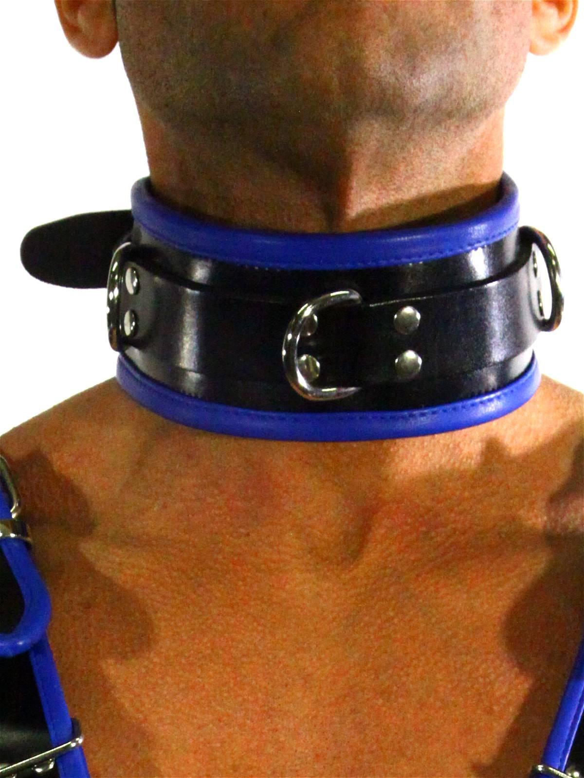 RudeRider Collar 3 D-Ring with Padding Leather Black/Blue One Size RudeRider Collar 3 D-Ring with Padding Leather Black/Blue One Size