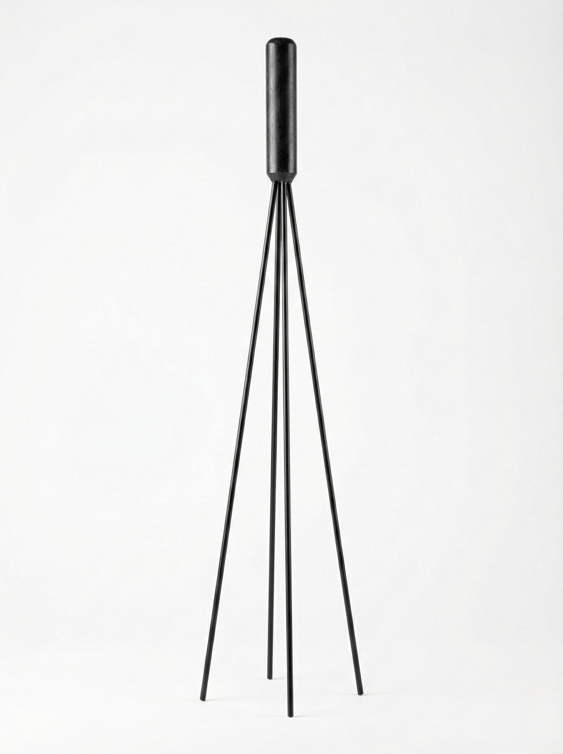 Black Whip with Handle, 71 CM