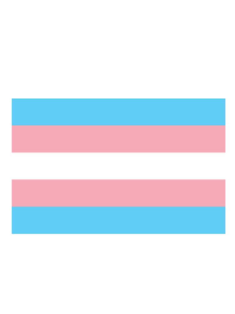 Trans Flag Sticker 5 x 7,6 cm
