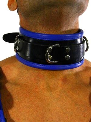 RudeRider Collar 3 D-Ring with Padding Leather Black/Blue One Size