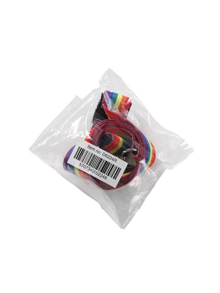 Rainbow Lanyard