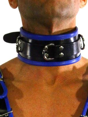 RudeRider Collar 3 D-Ring with Padding Leather Black/Blue One Size RudeRider Collar 3 D-Ring with Padding Leather Black/Blue One Size